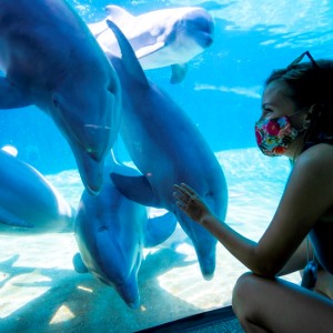 SeaWorld San Diego 