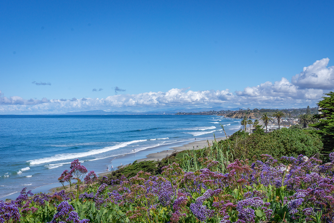 Del Mar Beaches